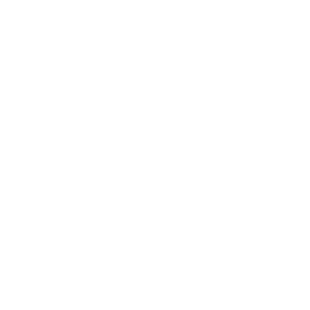 Logo Carlos Witt